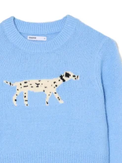 Hot sweter z dalmatyńczykiem Swetry